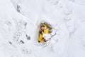 Woman traveler posing in a natural cave in a snowy rock