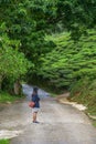 Woman traveler at the Tea plantations in Cameron Highlands, Malaysia. Girl standing on green tea mountain road. Travel, vacation Royalty Free Stock Photo