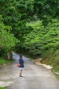 Woman traveler at the Tea plantations in Cameron Highlands, Malaysia. Girl standing on green tea mountain road. Travel, vacation Royalty Free Stock Photo