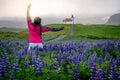 Traveler in Iceland. Church and Lupine Flowers