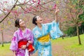 Woman travelers wearing traditional kimono Royalty Free Stock Photo