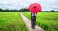 Woman traveller hiking Asian rice field landscape