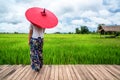 Woman traveller hiking Asian rice field landscape