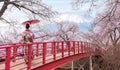 Woman traveller with a red umbrella and walking over the bridge with Fuji mountain and Sakura flower background Royalty Free Stock Photo