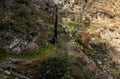 Woman Treks Down Juniper Canyon Trail