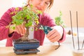 Woman trimming bonsai tree