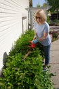 Woman trimming bushes