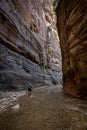 Woman Trudging Through Virgin River Narrows