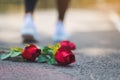 A woman walk away from red color roses flower on the floor Royalty Free Stock Photo