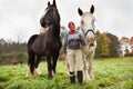 Woman with two horses Royalty Free Stock Photo