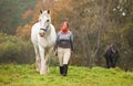 Woman with two horses Royalty Free Stock Photo