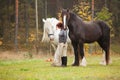 Woman with two horses Royalty Free Stock Photo