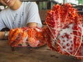 Woman with two king crabs Alaska frozen ready on wood table for cooking Royalty Free Stock Photo