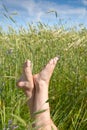 Woman two legs in green grass field under blue sky Royalty Free Stock Photo