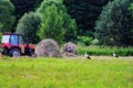 Woman and two storks on green meadow