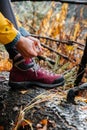 Woman tying shoelace on her hiking boot in autumn forest Royalty Free Stock Photo