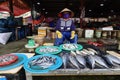A woman with the typical Vietnamese hat at her fish stall in the Ba Le market in Hoi An
