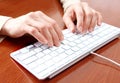 Woman typing Royalty Free Stock Photo