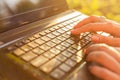 Woman typing on a laptop keyboard in a warm sunny day outdoors. Royalty Free Stock Photo