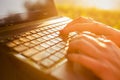 Woman typing on a laptop keyboard in a warm sunny day outdoors. Royalty Free Stock Photo