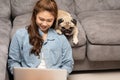 Woman typing and working on laptop with dog Pug breed lying on her knee