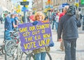 Woman with UKIP sign Royalty Free Stock Photo