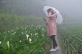 Woman with umbrella and Callalily flower at Yangmingshan National Park at Zhuzihu Taiwan