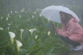 Woman with umbrella and Callalily flower at Yangmingshan National Park at Zhuzihu Taiwan