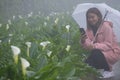 Woman with umbrella and Callalily flower at Yangmingshan National Park at Zhuzihu Taiwan