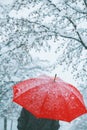 Woman under red umbrella walking in winter snow