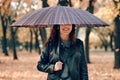 Woman under umbrella posing in autumn park. Bright yellow leaves and trees Royalty Free Stock Photo