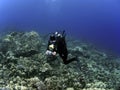 Woman Underwater Photographer Scuba Diving Royalty Free Stock Photo