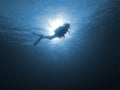 Woman Underwater Photographer Scuba Diving Royalty Free Stock Photo