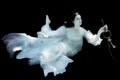 Woman Underwater Wearing White Gown Royalty Free Stock Photo
