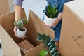 Woman Unpacking Boxes with House Decor Plants Royalty Free Stock Photo