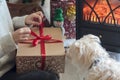 Woman unwrapping gift box next to Christmas tree