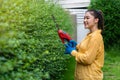 Woman using  cordless electric hedge cutting and trimming plant in garden at home Royalty Free Stock Photo