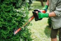 Woman is using cordless hedge trimmer to trim overgrown thuja shrub in garden Royalty Free Stock Photo