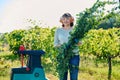 Woman using electric garden shredder for branches and bushes Royalty Free Stock Photo