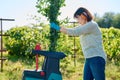 Woman using electric garden shredder for branches and bushes Royalty Free Stock Photo