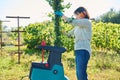 Woman using electric garden shredder for branches and bushes Royalty Free Stock Photo