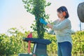 Woman using electric garden shredder for branches and bushes Royalty Free Stock Photo