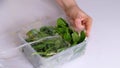 Woman using food film for food storage on a white table. Roll of transparent polyethylene food film for packing products Royalty Free Stock Photo