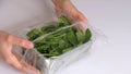 Woman using food film for food storage on a white table. Roll of transparent polyethylene food film for packing products Royalty Free Stock Photo