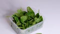 Woman using food film for food storage on a white table. Roll of transparent polyethylene food film for packing products Royalty Free Stock Photo