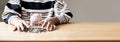 A woman is using her hand to protect the piggy bank and money on the desk. Royalty Free Stock Photo