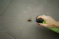 Woman using poisonous spray to kill cockroach Royalty Free Stock Photo