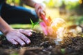 A woman using shovel to plant a small tree with a lightbulb glowing on the ground Royalty Free Stock Photo