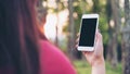 A woman using smart phone with blank black screen at outdoor and green nature background Royalty Free Stock Photo