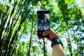 A woman using a smartphone to shoot bamboo forest.